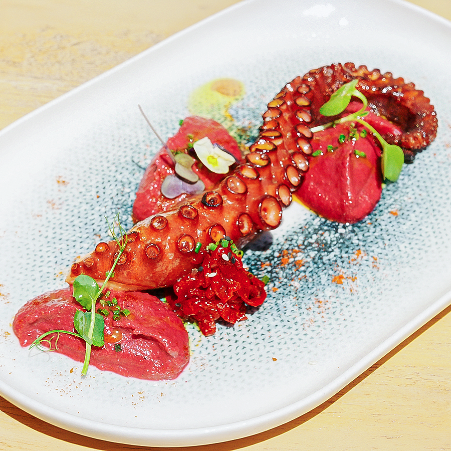 Gegrillter Oktopus